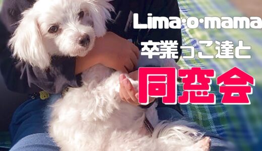 Lima o mama同窓会 ♪懐かしいお顔が集まってくれました「vol 270」