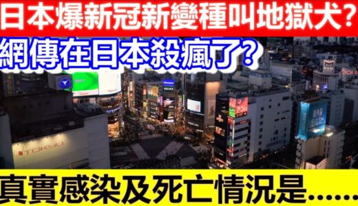 🔴日本爆新冠新變種叫地獄犬？網傳在日本殺瘋了？真實情況是.....｜CC字幕｜日更頻道