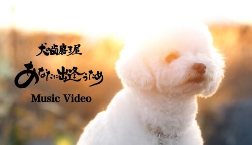 犬の歯磨き屋『あなたに出逢うため』MusicVideo