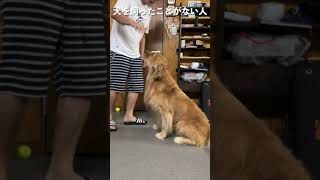 犬の触り方　#shorts how touch the dog