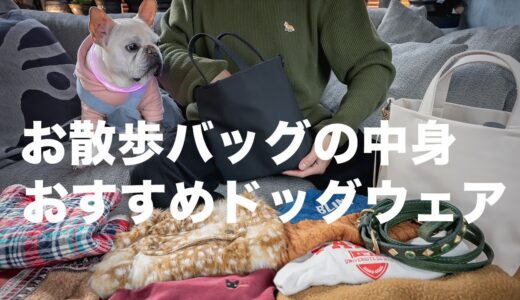 犬のお散歩バッグの中身とおすすめドッグウェア