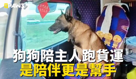 馬犬陪伴貨運司機男主一起跑長途，成了不可或缺的好幫手，一起跋山涉水，探索遠方的風景，累並快樂著