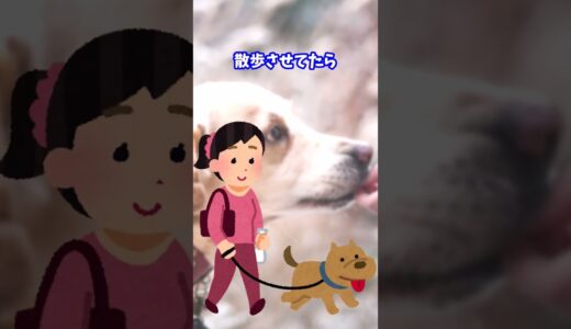 【2ch面白いスレ】毎日50km以上散歩してるうちの犬　#Shorts