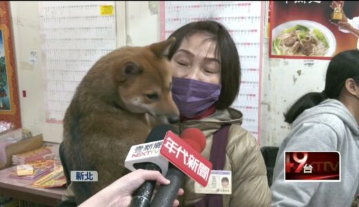 柴犬變「財」犬！ 彩券行狗狗汪兩聲夫妻「刮中百萬 」