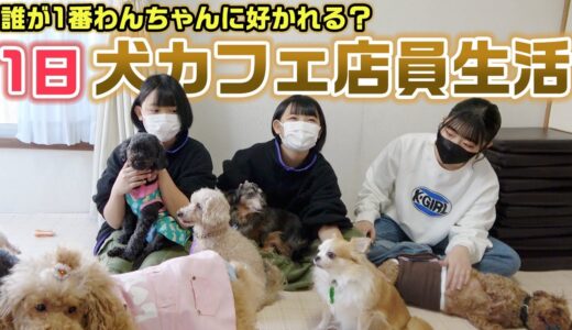 【1日職業体験】３人の中で誰が1番わんちゃんに好かれて仲良くなれる？？1日犬カフェ店員生活やってみた結果・・・【24時間】