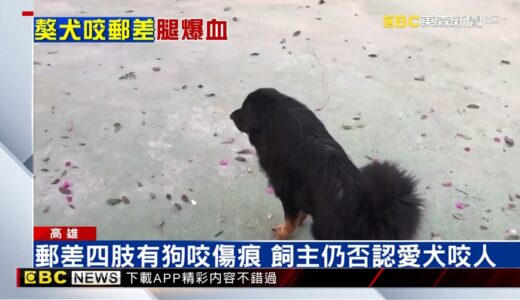 恐怖！3獒犬撲倒郵差狠咬 手腳噴血受傷送醫@newsebc