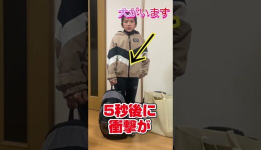 子供へサプライズ　犬をプレゼント