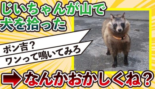 【2ch動物スレ】じいちゃんが山で犬を拾ったと言い張るけど、なんかおかしくね？