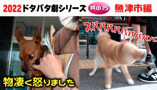 2022狂犬病予防注射会場のドタバタ劇・其の15 魚津市編