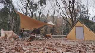 【茨城移住キャンパー】女子キャンプ3人と犬で楽しむキャンプ道具とは？🏕移住おすすめ茨城TX