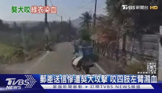 郵差送信慘遭獒犬攻擊 咬四肢左臂濺血｜TVBS新聞@TVBSNEWS01