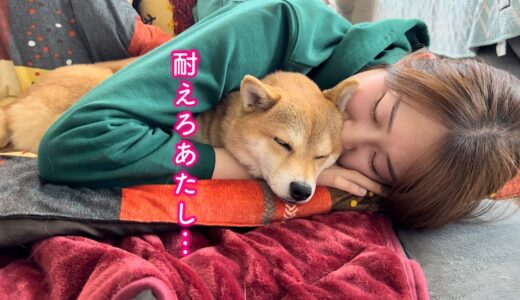 新年早々ママがうざいけど疲れた体にムチ打って優しく受け止める柴犬が可愛い