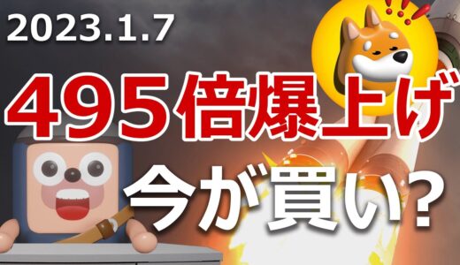 ソラナ初の犬コインが495倍に爆上げ！買えば億万長者か？BONK