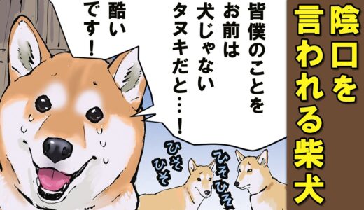 よくよく聞いてみると犬だと思われてない柴犬【アニメ】【漫画】