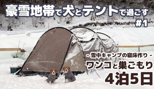 【雪中キャンプ】全てが凍る！？豪雪地帯で年末年始を犬とテントで過ごした記録 ～ 4泊5日年越し雪中キャンプ #1 -犬連れ夫婦キャンプ-