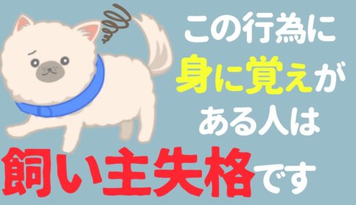 【絶対ダメ】犬の散歩でやってはいけない4つのこと