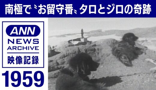 生きていたタロとジロ。カラフト犬置き去りの悲劇から生まれた南極観測の“奇跡”【映像記録　news archive】