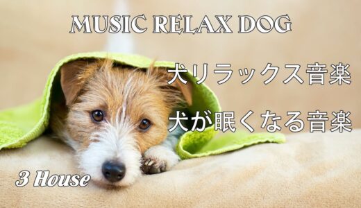 【犬のうた】犬も音楽でリラックス | 犬が眠る為のBGM | ストレス解消 | 犬を落ち着かせる音楽