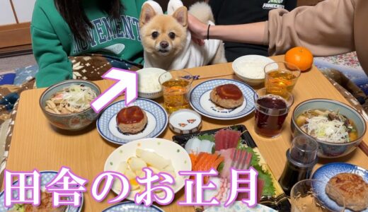 お正月の宴会を家族とスタンバイしている愛犬が可愛い…笑