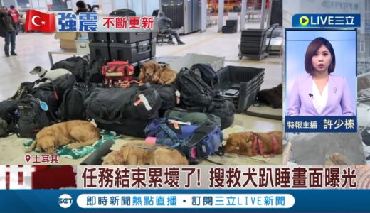 任務結束累壞了! 搜救犬趴睡畫面曝光 墨西哥搜救犬殉職 隊員舉辦追思會感謝貢獻│主播 許少榛│【國際大現場】20230214│三立新聞台