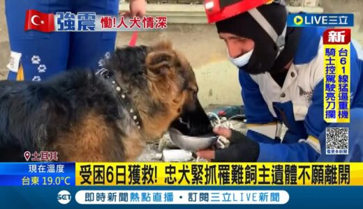 人犬情深令人鼻酸! 土耳其忠犬受困6日獲救 緊抓罹難飼主遺體不願離開 救災物資缺”狗糧” 動物獲救仍面臨食物短缺｜【國際大現場】20230215｜三立新聞台