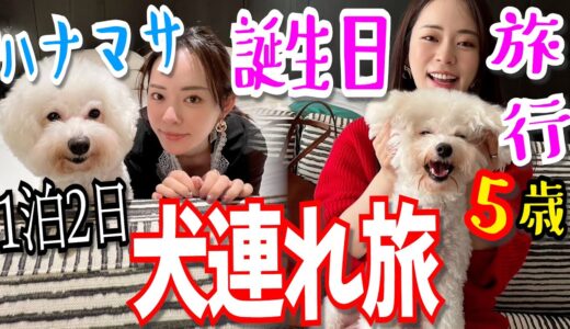 【犬連れ旅!】綿が誕生日なので、犬課金してお誕生日旅行してみた