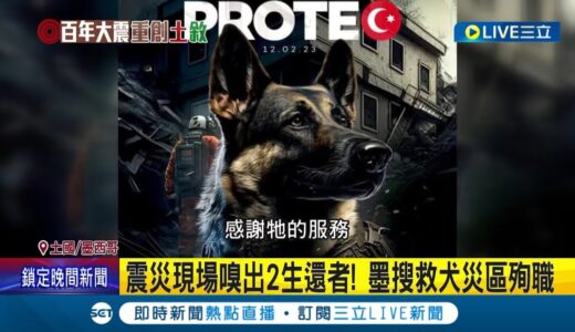 辛苦了！墨國搜救犬”Proteo”協尋生還者不幸喪命 領犬員感性最後道別 悼念儀式場面令人鼻酸│記者 陳淮安│【國際大現場】20230214│三立新聞台