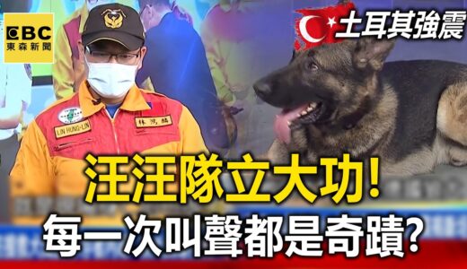 【土耳其強震】汪汪隊立大功！搜救犬聞出倖存者 狗狗「每一次叫聲」都是奇蹟？ @57BreakingNews