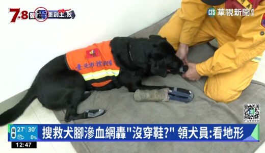 搜救犬腳滲血網轟「沒穿鞋？」　領犬員:看地形｜華視新聞 20230211