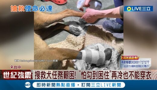 那是他們掌握外界情報的來源…”搜救犬”土耳其搜救四肢遭瓦礫割傷滲血 網友喊不能穿鞋? 獸醫師曝穿鞋”抓地力差.不易散熱”｜記者  王子瑜 黃彥傑│【LIVE大現場】20230211│三立新聞台