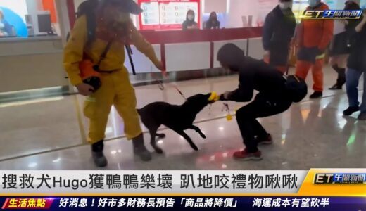 搜救犬Hugo獲鴨鴨樂壞　趴地咬禮物啾啾｜20230216 ET午間新聞