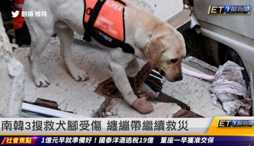 南韓3搜救犬腳受傷　纏繃帶繼續救災｜20230216 ET午間新聞