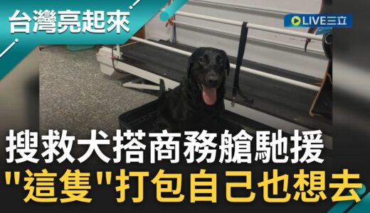 英勇的去也請你們英勇的回來! 搜救犬搭商務艙赴土耳其協助救援 搜救犬Emma沒被徵召竟