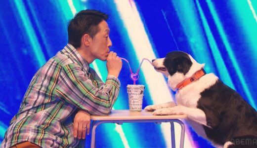 犬がお芝居を！？息ぴったりな哲郎とサニー🐶 | Japan’s Got Talent 2023