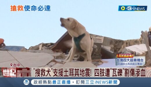 毛小孩使命必達! 搜救犬支援土耳其震災 四肢遭瓦礫割傷滲血 民眾心疼籲