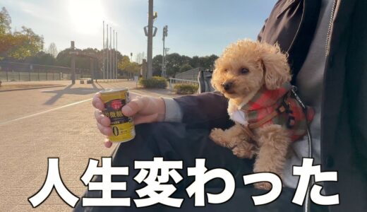 犬を飼ったら人生が変わった話