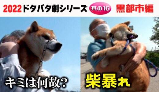 2022狂犬病予防注射会場のドタバタ劇・其の16 黒部市編