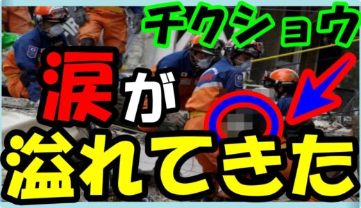 海外の反応 感動!!衝撃!!トルコ大地震で救助犬が○○!!台湾が日本の国際緊急援助隊を受け入れるも○国の申し出は断る!メキシコ地震、日本の救助隊が小型犬を救出！海外の反応ch ステキな日本