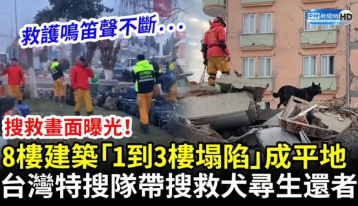 土耳其搜救畫面曝光！8樓建築「1到3樓塌陷」成平地　台灣特搜隊帶搜救犬尋生還者 @ChinaTimes