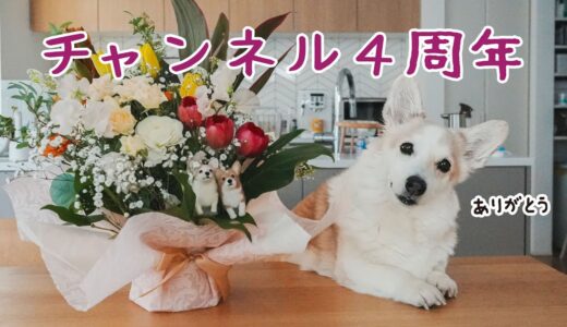 4周年ありがとうございます！今後についてと、今更ながら自己紹介！