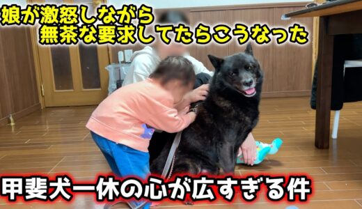 【甲斐犬】娘が激怒しながら無茶な要求してたら愛犬がこうなりました