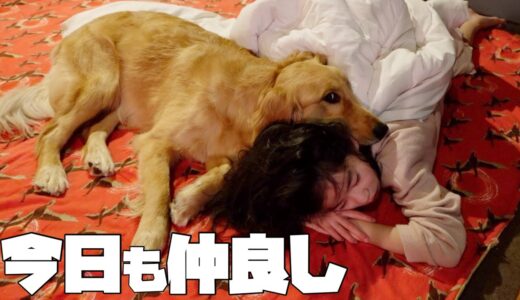 【大型犬仔犬のいる生活＃10】春の気配を感じる雛祭りの1日/生後11ヶ月