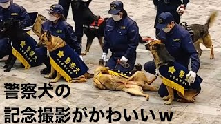 警察犬の記念撮影が可愛すぎたw