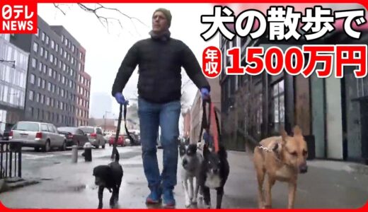 【アメリカ】“犬の散歩”で驚きの報酬　1日5時間で年収1500万円