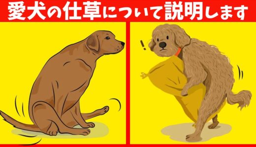 一見おかしいと思う 犬の仕草に隠された本当の意味 21選