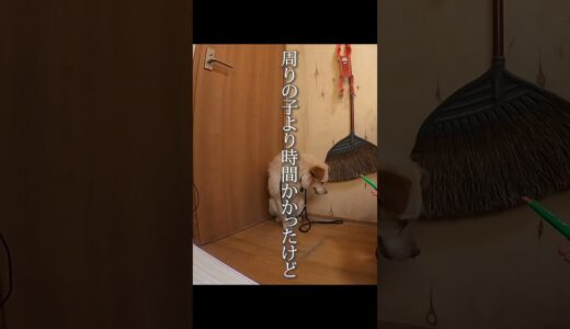 人を噛みまくる保護犬は…