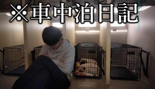 犬を飼って結婚願望を失った30代。愛犬とキャンピングカーで海を渡った方法がこちら