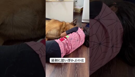 子供と犬を一緒に育ててみた結果