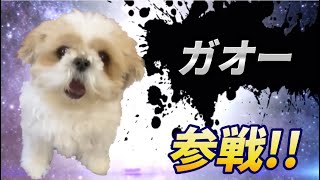 変わった鳴き声の犬 全員参戦！Part3【できないですぅ】