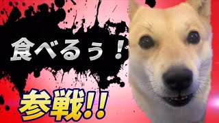 変わった鳴き声の犬 全員参戦！Part4